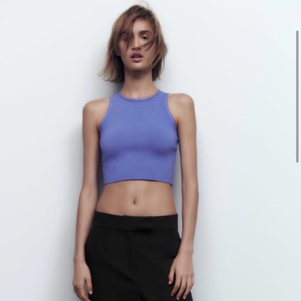 Zara Purple Crop Top